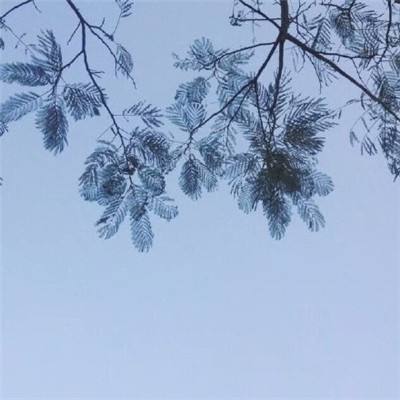 英雄守护者手机版