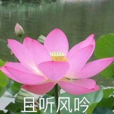 少年三国录内购破解版下载